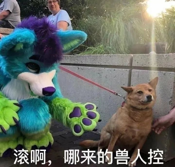 为了把人变成猫娘 这群黑客把核电实验室给黑了