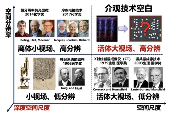 “看穿”大脑！我国科学家“上新”超级显微镜